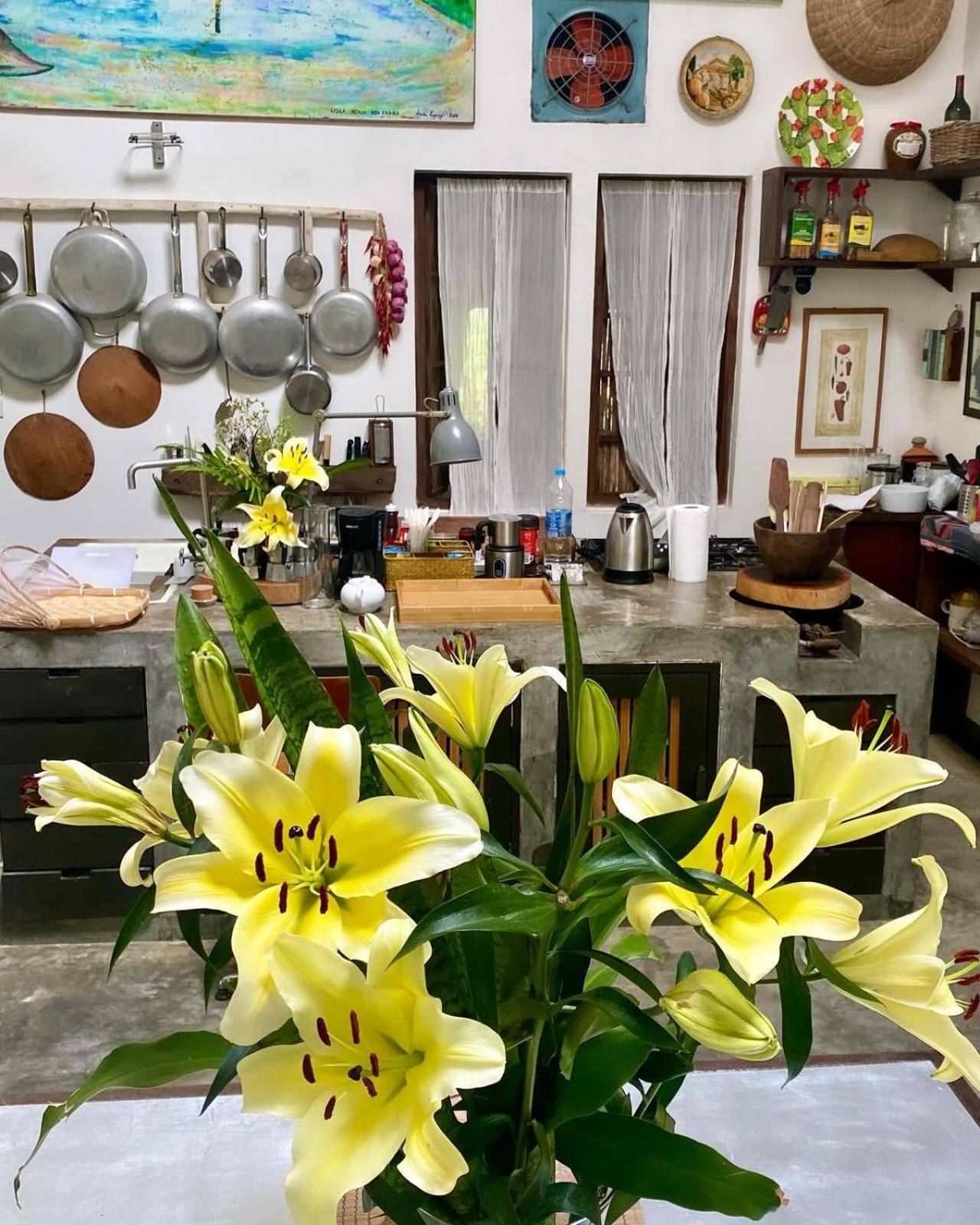 象岛Maddekehaoo Eco Mansion住宿加早餐旅馆 外观 照片